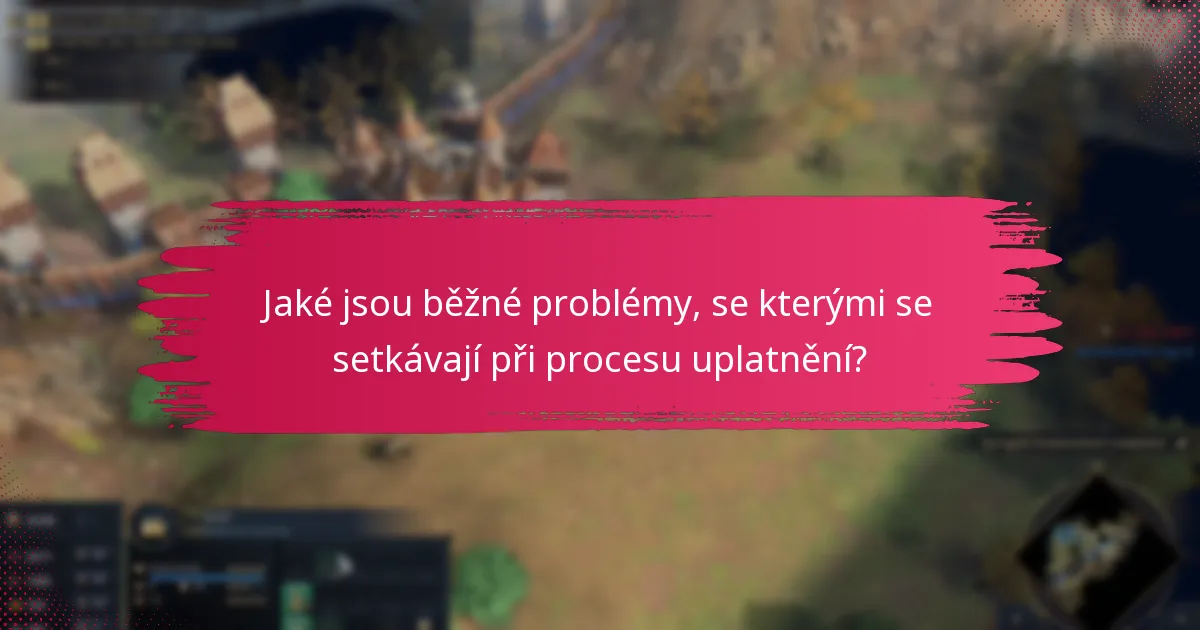 Jaké jsou běžné problémy, se kterými se setkávají při procesu uplatnění?
